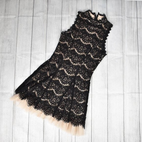 Whimsygoth Francesca Lace and Toole Sleeveless Full Skirt Semi Formal Dress - Picture 2 of 6